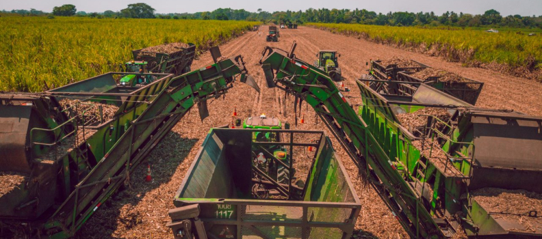 Start of the Zafra contributes to the reactivation of the economy