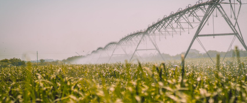 Guatemala utiliza 47% menos de agua en su producción de caña en comparación al uso a nivel mundial