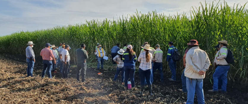 ¡Somos Finalistas de los Bonsucro Inspire Awards!