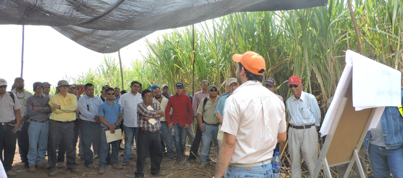 Negocios de Caña Imparte Charlas a Productores en Nicaragua