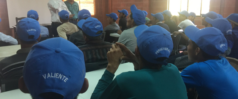 Proyecto Oportunidades – Alianza Fundasistemas y Pantaleon