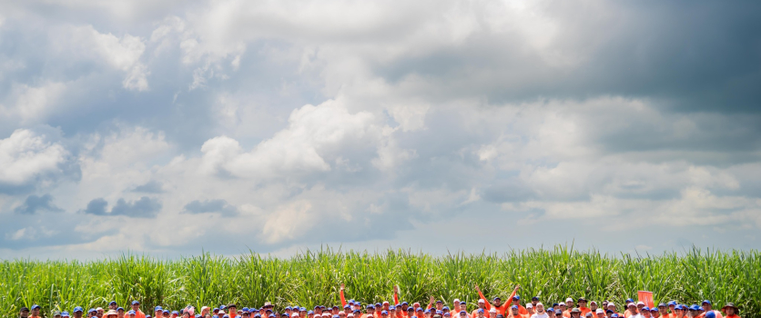 Ingenio Monte Rosa impulsa la Jornada de Reforestación 2025 junto a colaboradores y comunidades