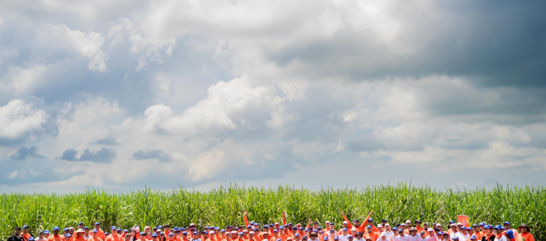 Ingenio Monte Rosa Promotes the 2025 Reforestation Day Together with Employees and Communities