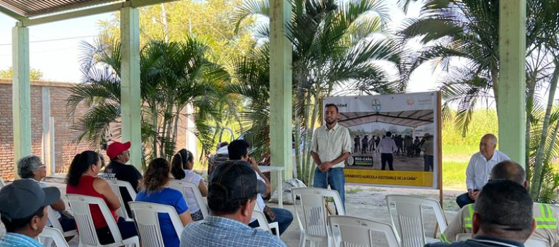 We are finalists in the 2024 Bonsucro Inspire Awards!