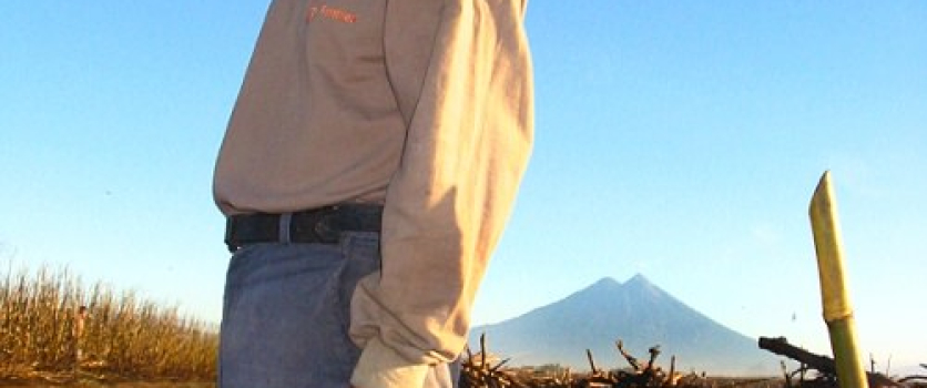 Universidad de Colorado publica estudio con apoyo de Pantaleon