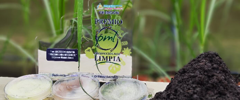 Premios por Nuestras Buenas Prácticas Ambientales