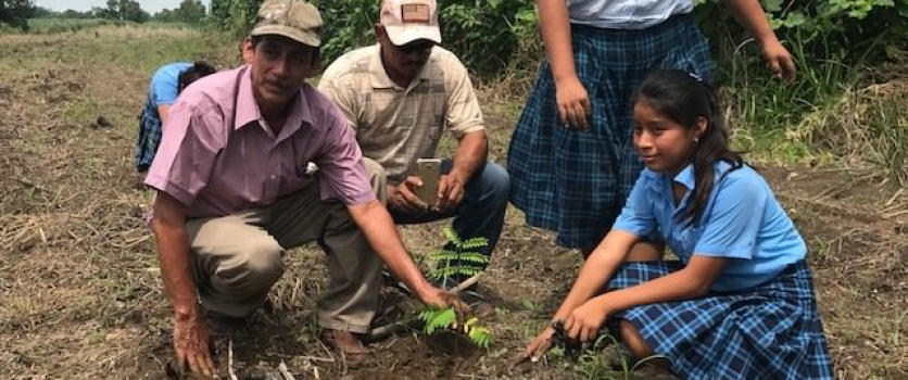 Reforestación en la cuenca del río Madre Vieja